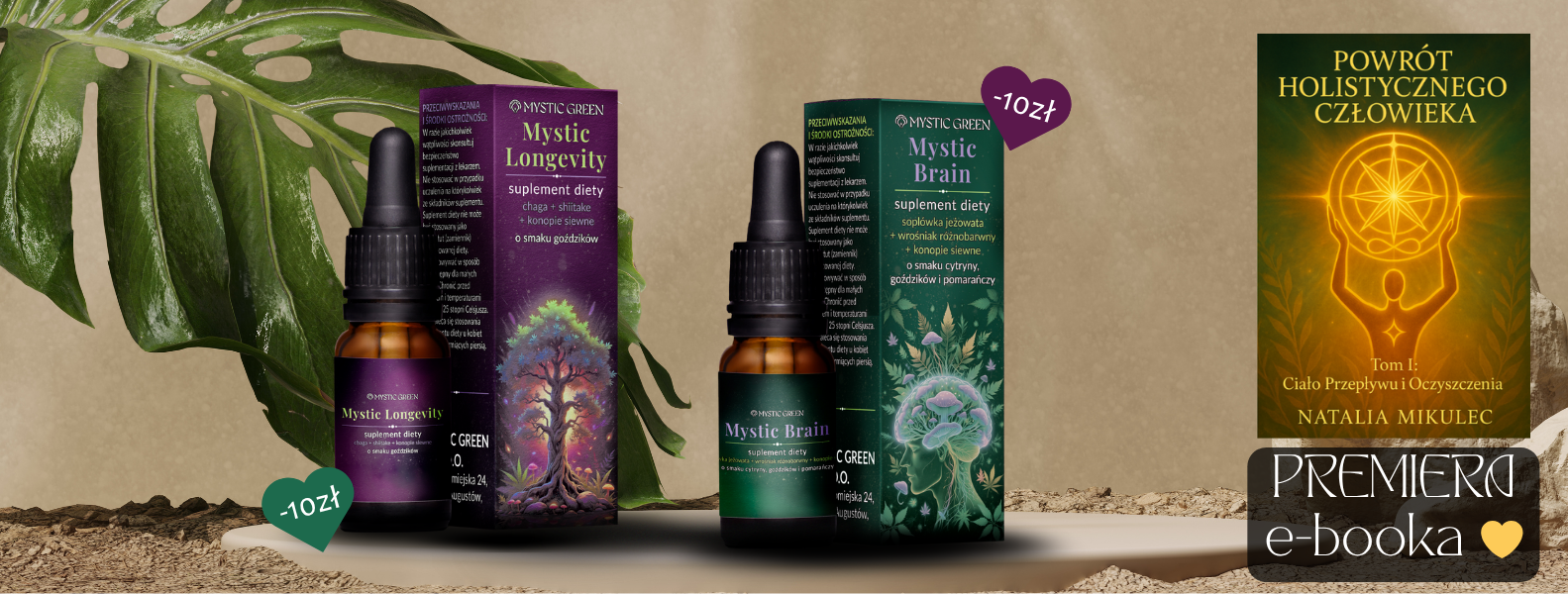 mystic green mystic brain mystic longevity powrót holistycznego człowieka chaga shiitake lion's mane wrośniak różnobarwny